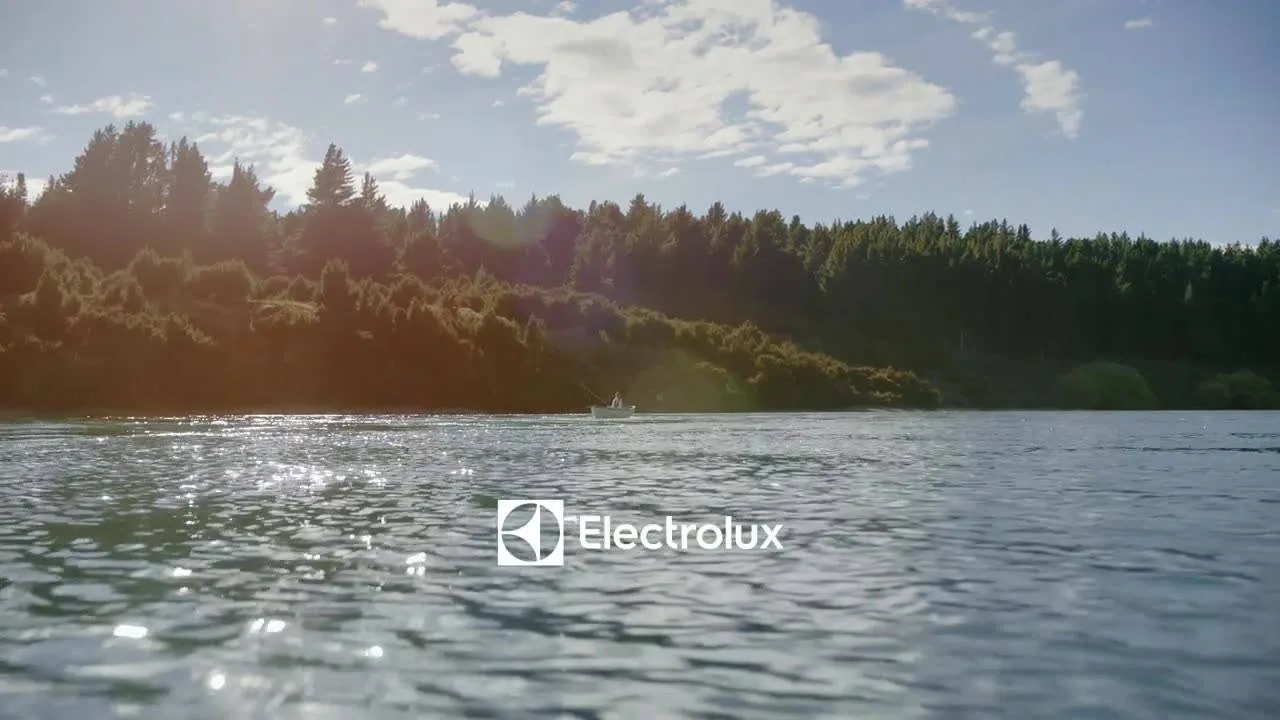 Case study Electrolux